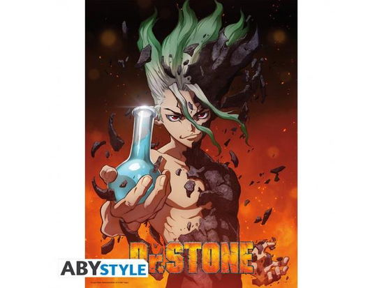 Cover for Kleines Poster · DR STONE - Poster Senku (52x38) (MERCH) (2019)