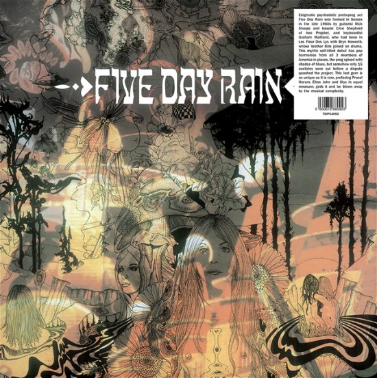 Cover for Five Day Rain (LP) (2023)