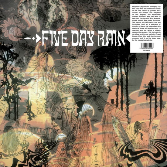 Cover for Five Day Rain (LP) (2023)