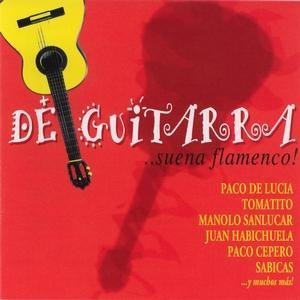 Cover for De Guitarra.. Suena Flamenco! / Various (CD) (2008)