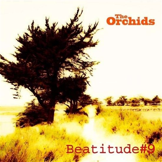 Cover for Orchids · Beatitude # 9 (CD) (2014)