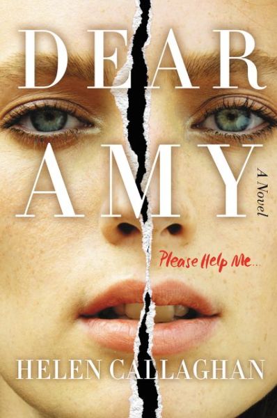 Cover for Helen Callaghan · Dear Amy: A Novel (Paperback Book) [First United States edition. edition] (2016)