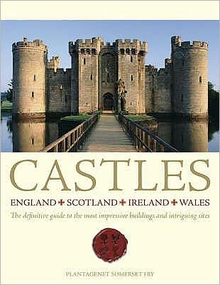 Castles - David Lyons - Books - David & Charles - 9780715326923 - March 31, 2008