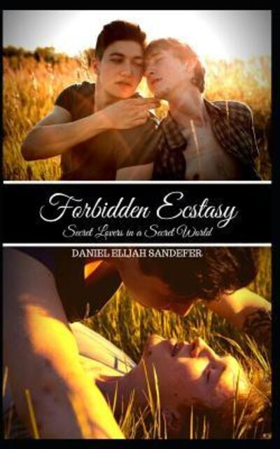 Cover for Daniel Elijah Sanderfer · Forbidden Ecstasy (Paperback Book) (2019)