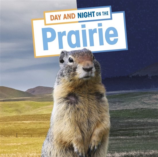 Cover for Ellen Labrecque · Day and Night on the Prairie - Habitat Days and Nights (Gebundenes Buch) (2022)