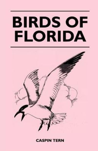 Cover for Caspin Tern · Birds of Florida (Paperback Book) (2010)