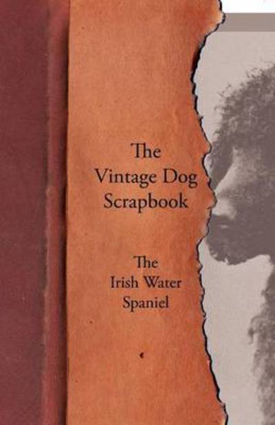 The Vintage Dog Scrapbook - The Irish Water Spaniel (Paperback Book) (2011)