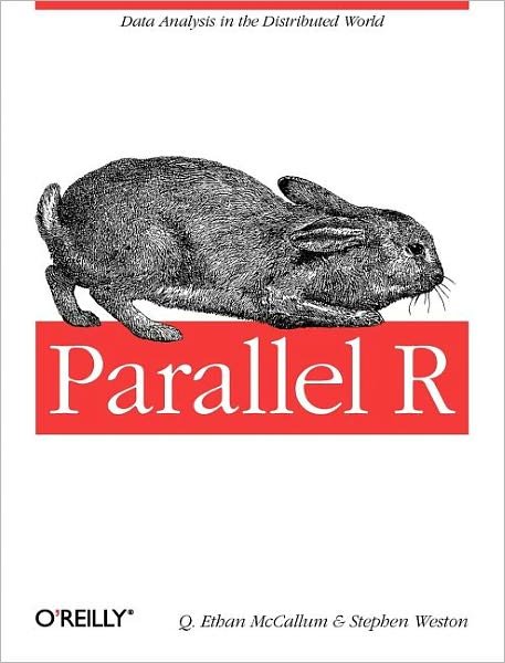 Cover for Q. Ethan Mccallum · Parallel R (Taschenbuch) (2011)