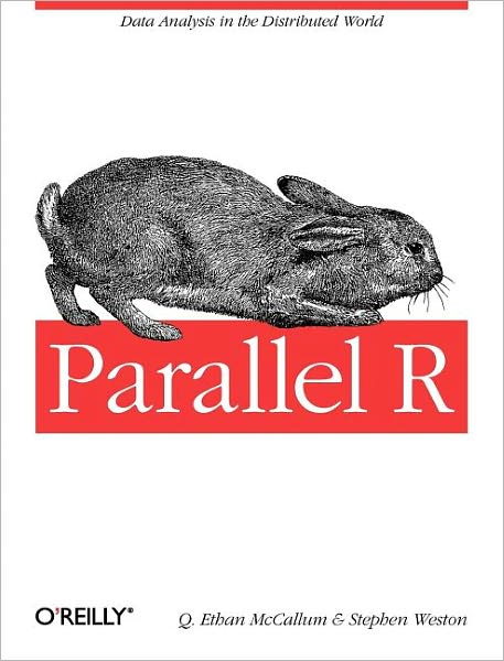 Parallel R - Q. Ethan Mccallum - Books - O'Reilly Media - 9781449309923 - November 29, 2011