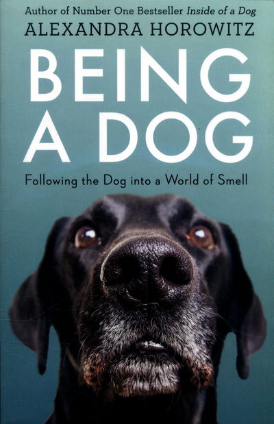 Cover for Alexandra Horowitz · Being a Dog: Following the Dog into a World of Smell (Paperback Book) (2016)