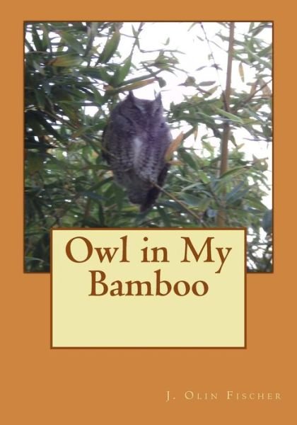 Owl in My Bamboo - J Olin Fischer - Bøger - Createspace - 9781491256923 - 9. september 2013