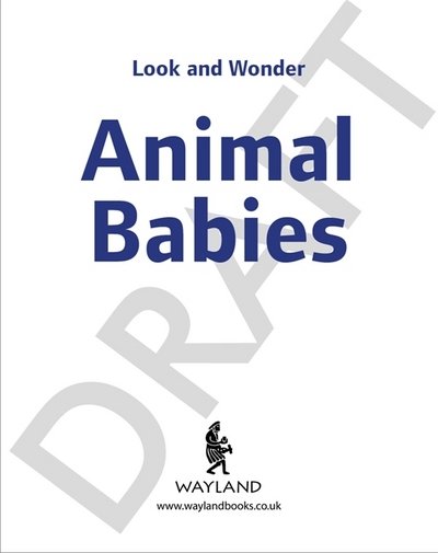 Cover for Kay Barnham · Look and Wonder: Amazing Animal Babies - Look and Wonder (Gebundenes Buch) (2018)