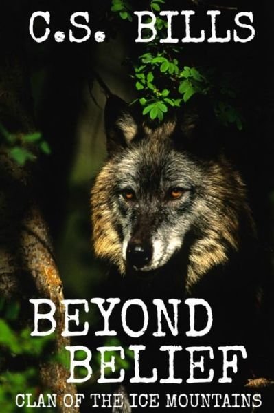 Cover for C S Bills · Beyond Belief (Paperback Book) (2016)