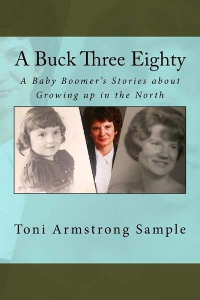 Cover for Toni Armstrong Sample · A Buck Three Eighty (Paperback Bog) (2017)