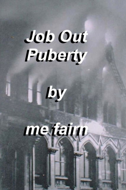 Cover for M E Fairn · Job Out Puberty (Paperback Book) (2017)