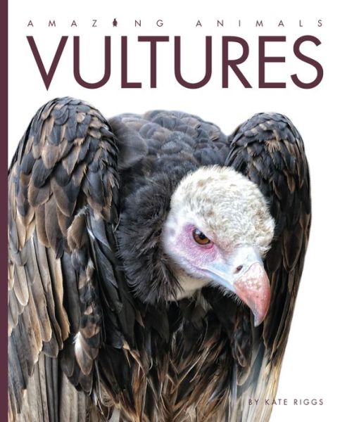 Cover for Kate Riggs · Amazing Animals: Vultures (Paperback Book) (2015)