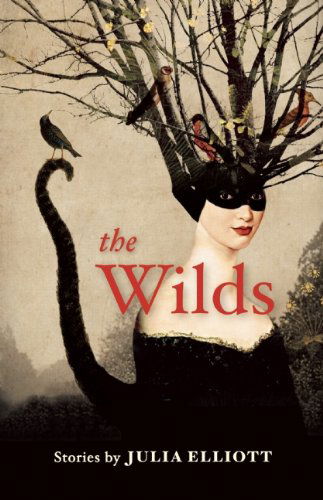 Cover for Julia Elliott · The Wilds (Paperback Book) (2014)