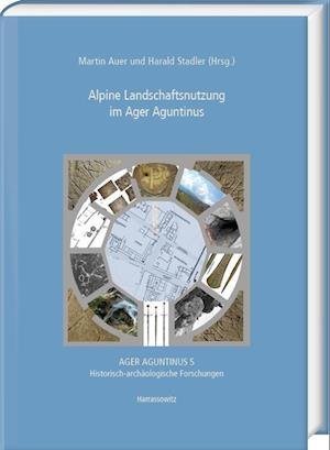 Cover for Martin Auer · Alpine Landschaftsnutzung Im Ager Aguntinus (Hardcover Book) (2022)