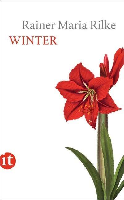 Cover for Rainer Maria Rilke · Insel TB.4192 Rilke.Winter (Bog)