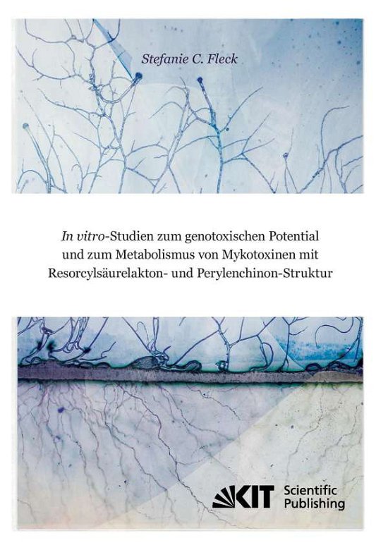 Cover for Fleck · In vitro-Studien zum genotoxische (Bog) (2014)