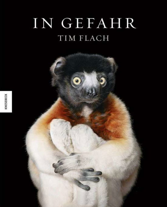 Cover for Flach · In Gefahr (Bog)