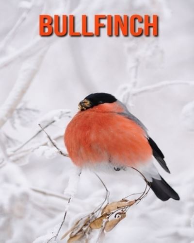 Cover for William Doyle · Bullfinch (Paperback Book) (2020)