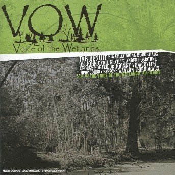 Cover for Tab Benoit · T.Benoit / Dr.John / A.Osborne / Neville - Vow (CD) (2005)