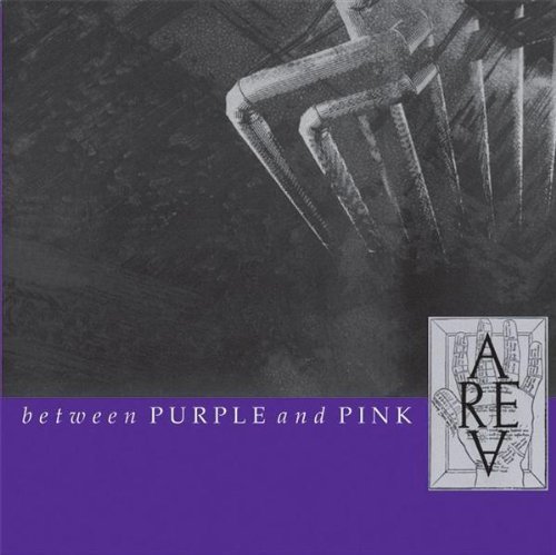Cover for Area · Between Purple And Pink (CD) (2012)