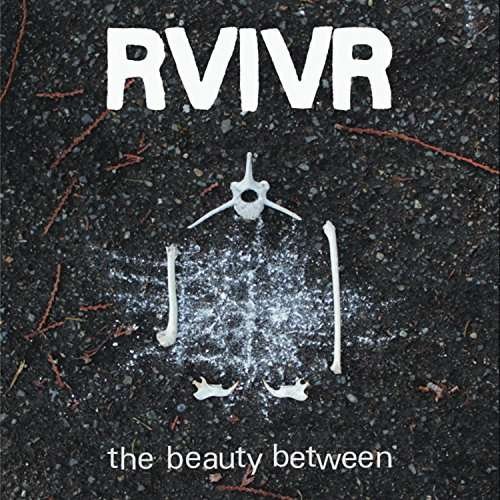 Cover for Rvivr · Joester Sessions '08-'11 (CD) (2017)
