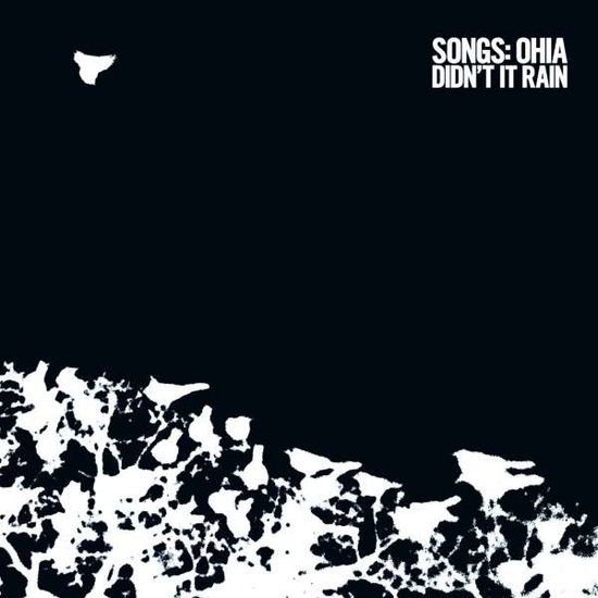 Cover for Songs: Ohia · Didn't It Rain (Deluxe Reissue) (CD) [Deluxe edition] (2014)