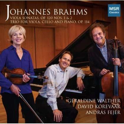 Cover for J Brahms · Brahms: Viola Sonatas (CD) (2014)