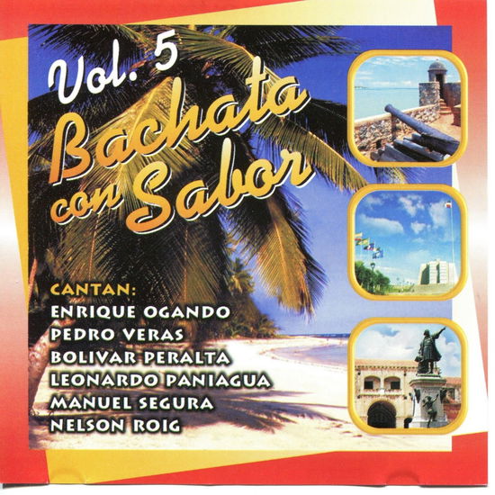 Bachata Con Sabor 5 - Various Artists - Musik - SM - 0700277208924 -