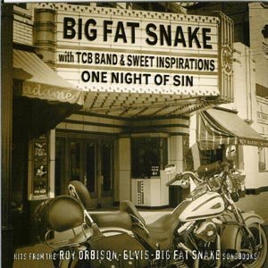 Cover for Big Fat Snake · One Night of Sin (CD) (2003)