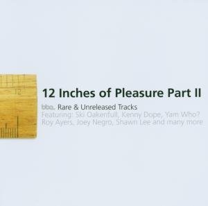 Cover for Twelve Inches of Pleasure 2 / Various (CD) (2007)