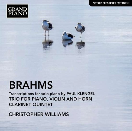 Brahms / Williams · Trio for Piano / Violin & Horn (CD) (2017)
