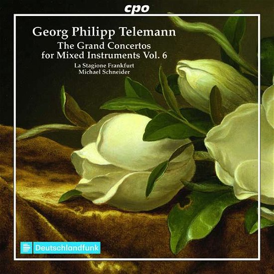 Grand Concertos 5 - Telemann / Stagione Frankfurt / Schneider - Musique - CPO - 0761203523924 - 6 septembre 2019