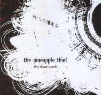 Cover for The Pineapple Thief · Dawn Raids (CD) (2009)