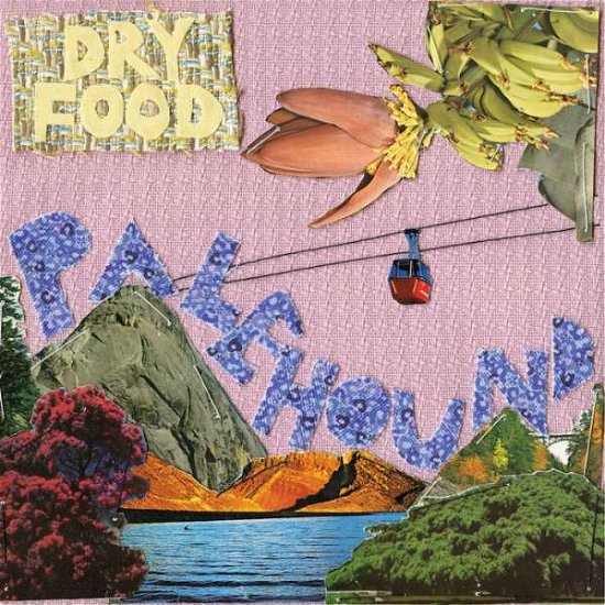 Cover for Palehound · Dry Food (LP) (2018)