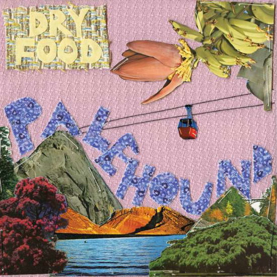 Dry Food - Palehound - Musik - EXPLODING IN SOUND RECORDS - 0811774023924 - 9. Oktober 2018