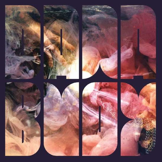 Cover for Dana Buoy · Ice Glitter Gold (CD) (2018)