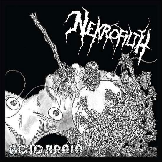 Acid Brain - Nekrofilth - Music - METALHIT.COM - 0827166285924 - July 10, 2015