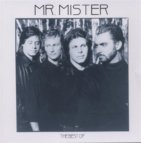 Cover for Mr. Mister · Best of (CD) (2003)