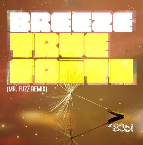 Cover for Breeze · True Faith (Mr Fuzz Remix) (CD)