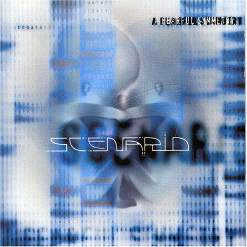 Cover for Scenario · Fearful Symmetry (CD) (2004)