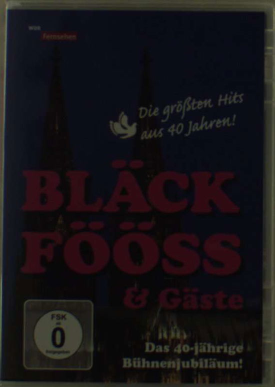 Cover for Bläck Fööss · 40 Jahre Bläck Fööss-live Vom Roncalliplatz 2010 (DVD) (2011)