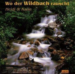 Cover for Heidi &amp; Karin · Wo Der Wildbach Rauscht (CD) (1992)