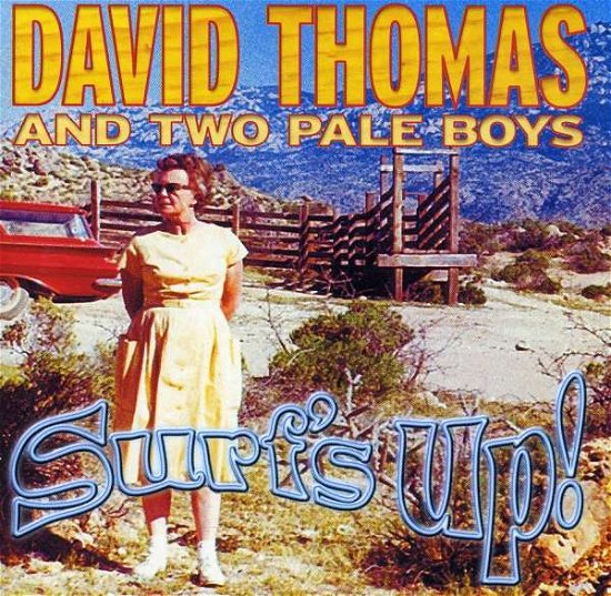 Surf'S Up - Thomas & Two Pale Boys, David - Musik - Glitterhouse - 4030433051924 - 8. marts 2001