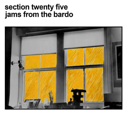 Cover for Section 25 · Jams from the Bardo (CD) [Digipack] (2021)