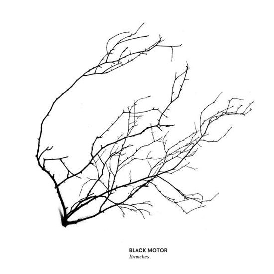 Cover for Black Motor · Branches (CD) (2017)