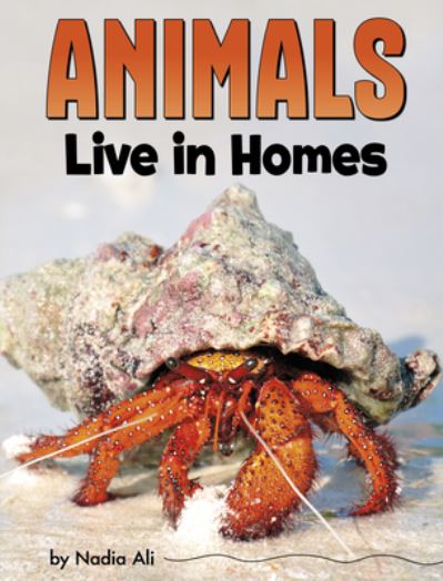 Cover for Nadia Ali · Animals Live in Homes (Book) (2023)